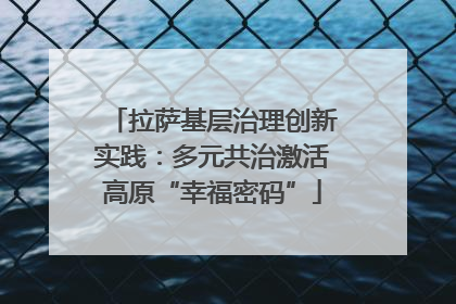 拉萨基层治理创新实践：多元共治激活高原“幸福密码”